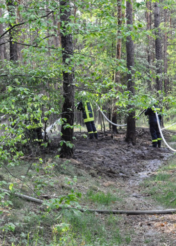 Waldbrand Nordstrand Stausee bei Klein Döbbern; Foto: Blaulichtreport Lausitz