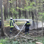 Waldbrand Nordstrand Stausee bei Klein Döbbern; Foto: Blaulichtreport Lausitz