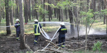Waldbrand Nordstrand Stausee bei Klein Döbbern; Foto: Blaulichtreport Lausitz