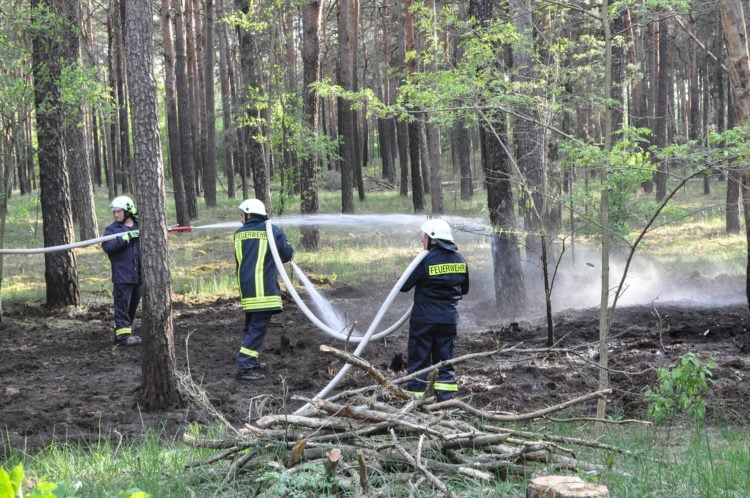 Waldbrand Nordstrand Stausee bei Klein Döbbern; Foto: Blaulichtreport Lausitz