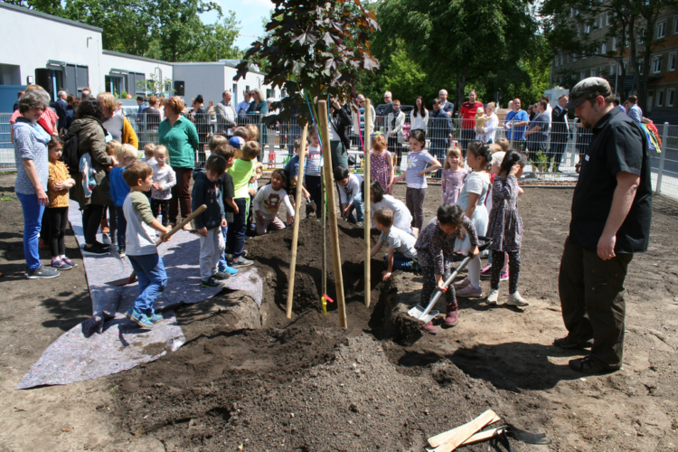 Evangelischer Kirchenkreis Cottbus