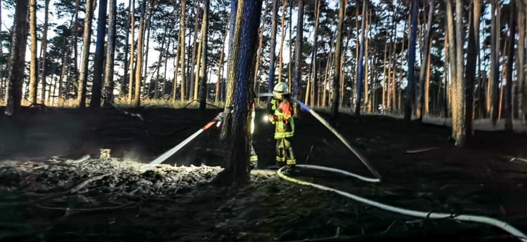 Waldbrand bei Schorbus; Foto: Blaulichtreport Lausitz