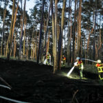 Waldbrand bei Schorbus; Foto: Blaulichtreport Lausitz