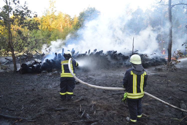 Waldbrand Großkoschen, Foto Blaulichrreport Lausitz