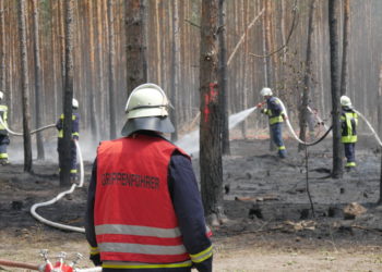 Waldbrand an der A15 bei Jethe