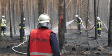 Waldbrand bei Jethe an der A15; Foto: Blaulichreport Lausitz