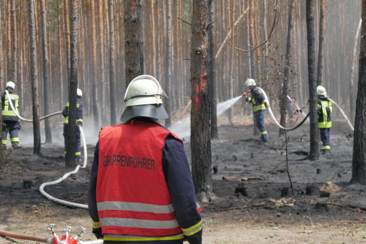 Waldbrand bei Jethe an der A15; Foto: Blaulichreport Lausitz