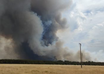Evakuierung aufgehoben: Lage bei Waldbrand nahe Mühlberg entspannt