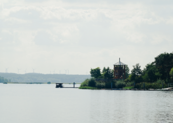 Gesundheitsgefahr durch Blaualgen. Landkreis sperrt Spremberger Stausee