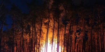 Waldbrand bei Bad Liebenwerda in Maasdorf; Foto: FFW Bad Liebenwerda