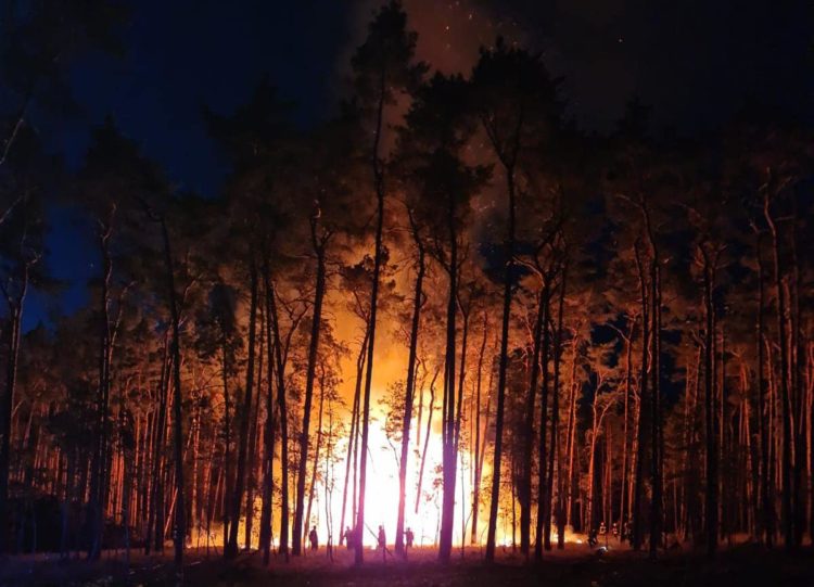 Waldbrand bei Bad Liebenwerda in Maasdorf; Foto: FFW Bad Liebenwerda