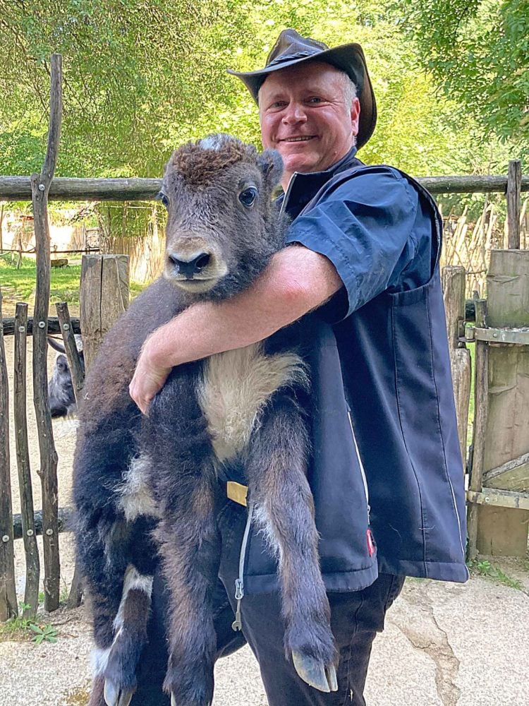 Tierparkdirektor Dr. Sven Hammer mit der drei Wochen alten Yakeline auf dem Arm  (Foto: www.zoo-goerlitz.de, C. Hammer)