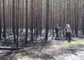 Waldbrand zwischen Spremberg und Graustein; Fotos: Blaulichtreport Lausitz