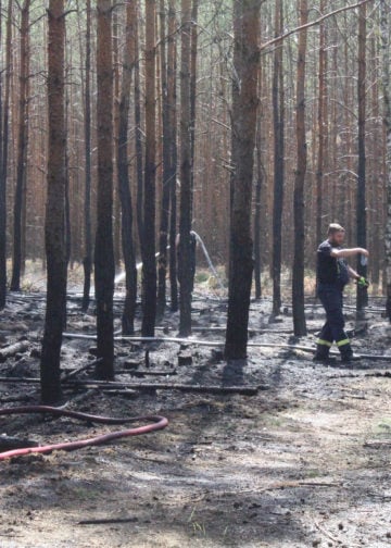 Waldbrand zwischen Spremberg und Graustein; Fotos: Blaulichtreport Lausitz