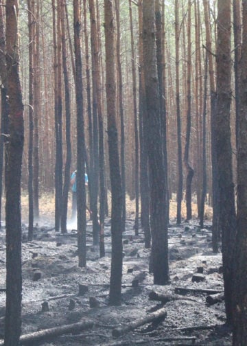 Waldbrand zwischen Spremberg und Graustein; Fotos: Blaulichtreport Lausitz