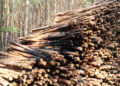 Waldbrand zwischen Spremberg und Graustein; Fotos: Blaulichtreport Lausitz