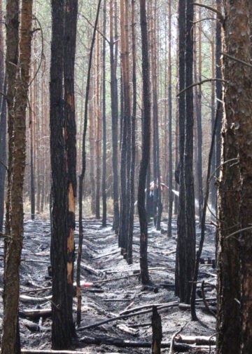 Waldbrand zwischen Spremberg und Graustein; Fotos: Blaulichtreport Lausitz