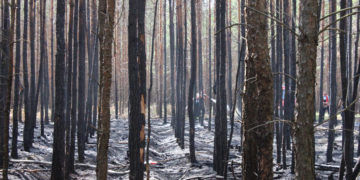 Waldbrand zwischen Spremberg und Graustein; Fotos: Blaulichtreport Lausitz