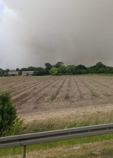 Waldbrand Beelitz; Freiwillige Feuerwehr Cottbus-Sachsendorf
