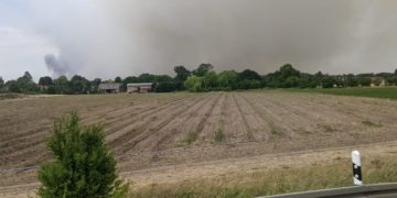 Waldbrand Beelitz, Freiwillige Feuerwehr Cottbus-Sachsendorf