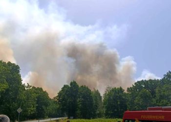 Waldbrand bei Treuenbrietzen unter Kontrolle. Evakierungen aufgehoben