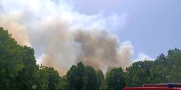 Waldbrand Treuenbrietzen, Blaulicht LDS und Umgebung