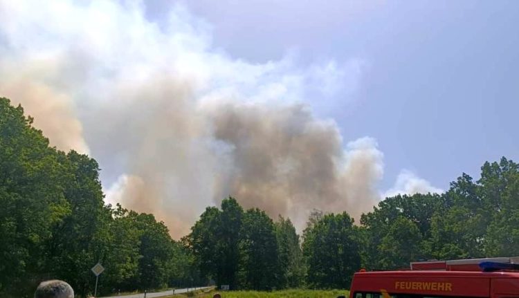 Waldbrand Treuenbrietzen, Blaulicht LDS und Umgebung