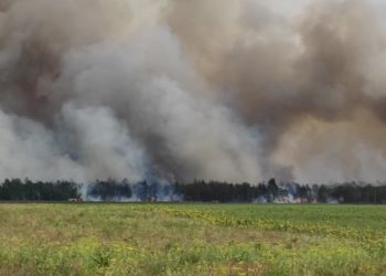 Waldbrand bei Mühlberg: Weitere Ausbreitung soll verhindert werden