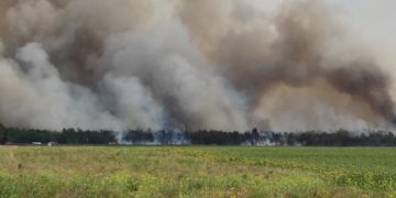 Waldbrand bei Mühlberg (Elbe); Foto: Einsatzfahrten Oberlausitz