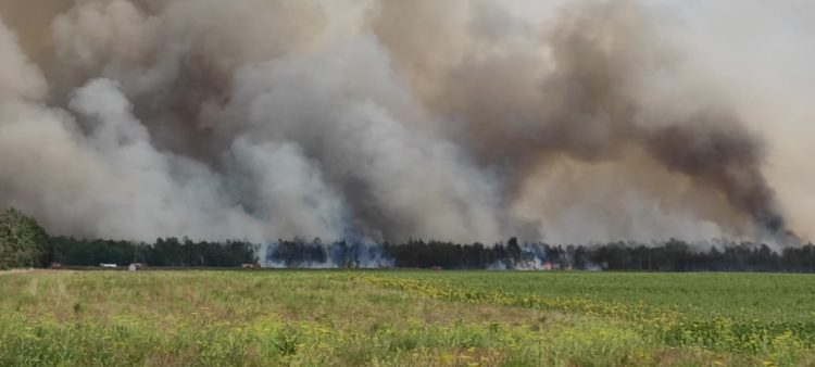 Waldbrand bei Mühlberg (Elbe); Foto: Einsatzfahrten Oberlausitz