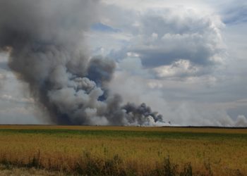 Waldbrand bei Mühlberg: Weitere Ausbreitung soll verhindert werden