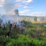 Waldbrand Lieberoser Heide; Foto: Landkreis Dahme Spreewald