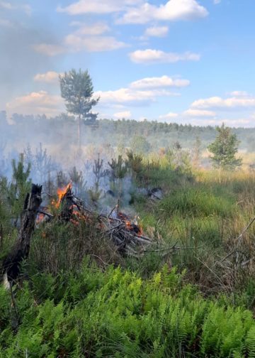 Waldbrand Lieberoser Heide; Foto: Landkreis Dahme Spreewald