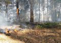 Waldbrand Lieberoser Heide; Foto: Landkreis Dahme Spreewald