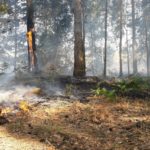 Waldbrand Lieberoser Heide; Foto: Landkreis Dahme Spreewald