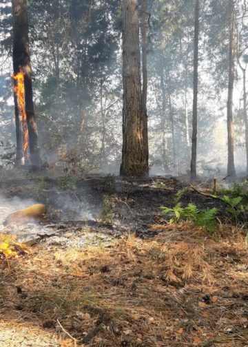 Waldbrand Lieberoser Heide; Foto: Landkreis Dahme Spreewald