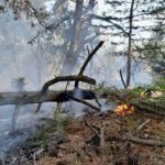 Waldbrand Lieberoser Heide; Foto: Landkreis Dahme Spreewald