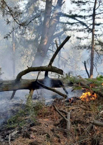 Waldbrand Lieberoser Heide; Foto: Landkreis Dahme Spreewald