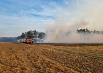 Zeugenaufruf! 900ha Waldbrand bei Mühlberg: Verdacht auf Brandstiftung