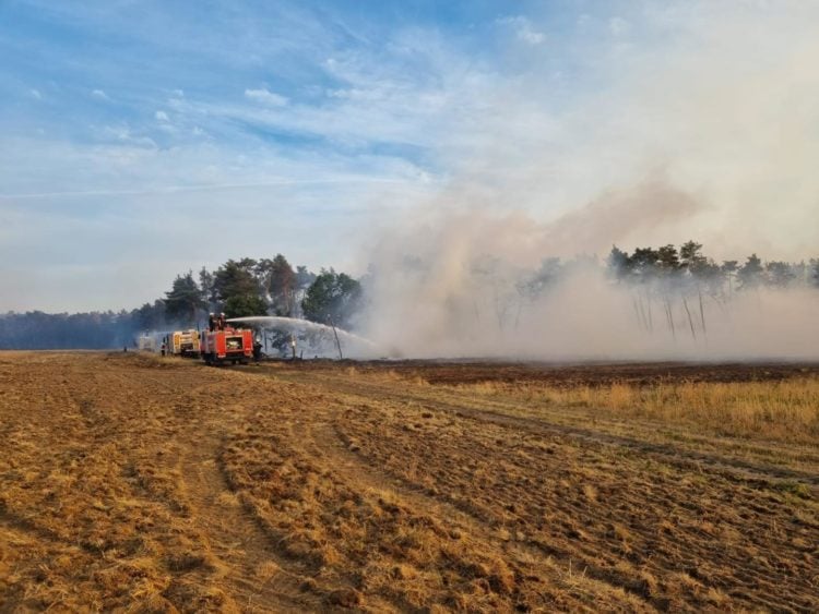 Waldbrand bei Mühlberg/Elbe und Zeithain; Foto:  Feuerwehr Cottbus-Sandow