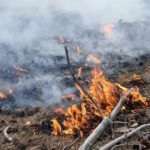 Waldbrand Lieberoser Heide; Foto: Blaulichtreport Lausitz