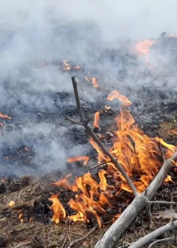 Waldbrand Lieberoser Heide; Foto: Blaulichtreport Lausitz