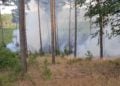 Waldbrand Lieberoser Heide; Foto: Blaulichtreport Lausitz