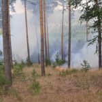 Waldbrand Lieberoser Heide; Foto: Blaulichtreport Lausitz