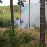 Waldbrand Lieberoser Heide; Foto: Blaulichtreport Lausitz