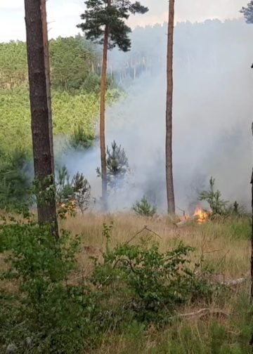 Waldbrand Lieberoser Heide; Foto: Blaulichtreport Lausitz