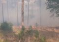 Waldbrand Lieberoser Heide; Foto: Blaulichtreport Lausitz