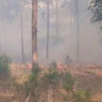 Waldbrand Lieberoser Heide; Foto: Blaulichtreport Lausitz