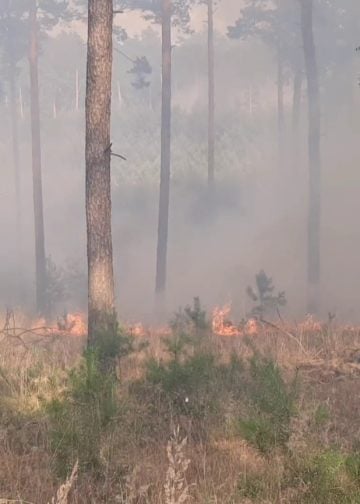 Waldbrand Lieberoser Heide; Foto: Blaulichtreport Lausitz
