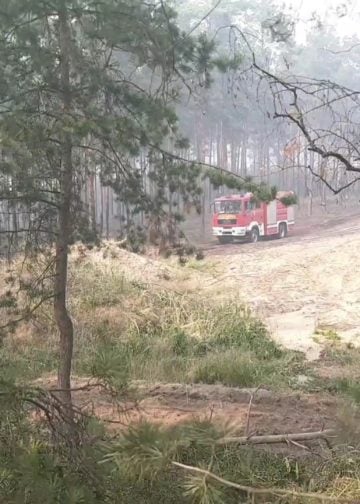 20220705 Waldbrand Lieberoser Heide; Foto: Blaulichtreport Lausitz